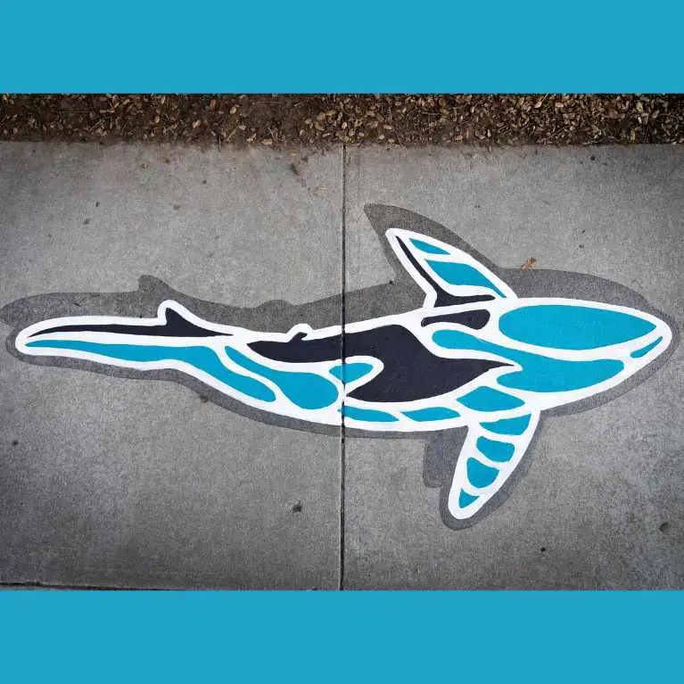 100 Sharks​